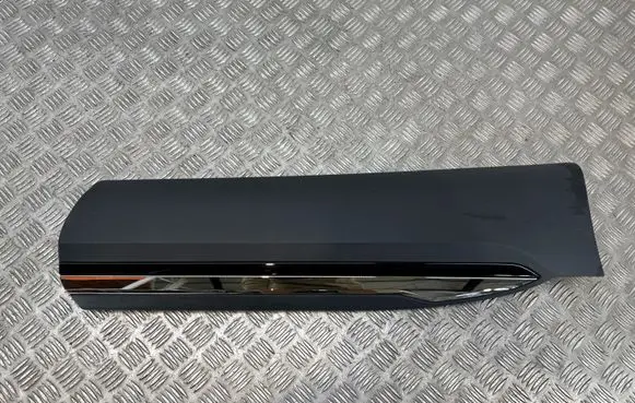 Renault Arkana Rear door trim (molding) 828764986R