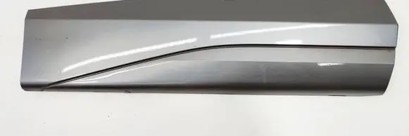 Cupra Formentor Rear door trim (molding) 5FF854950B