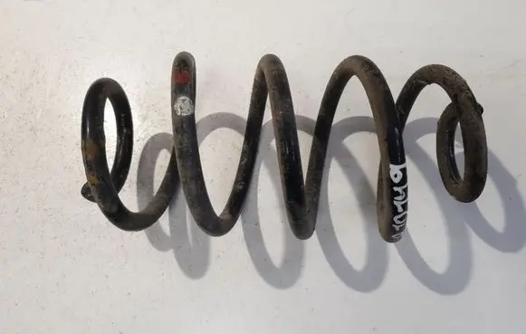 Rear coil spring