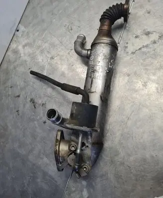 EGR valve