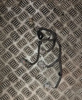 Nissan Qashqai Fuel injector wires 