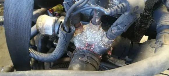 Volkswagen Golf IV Engine coolant pipe/hose