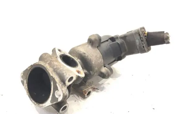 EGR valve