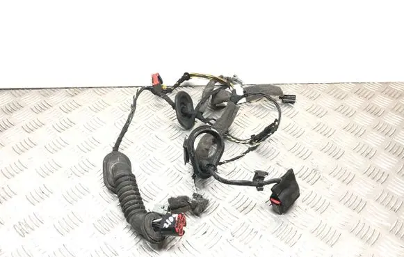 Rear door wiring loom