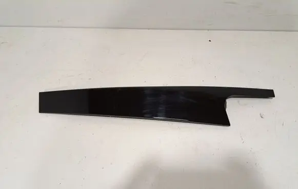 Rear door glass trim molding