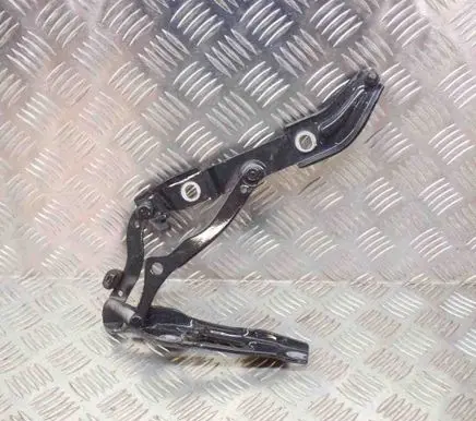 Tailgate/trunk/boot hinge