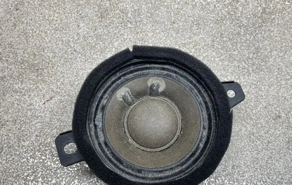 Opel Insignia B Panel speaker 13240967