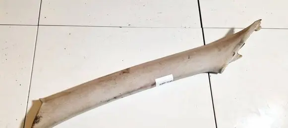 Toyota Corolla E120 E130 (C) pillar trim 622102060 6221-02060