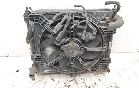 Nissan Juke I F15 Coolant radiator 21410BA62A DX12BA62AJ