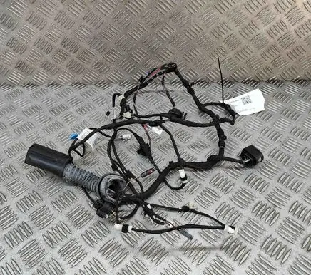 BMW X6 F16 Front door wiring loom 6801453