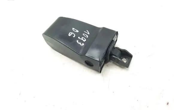 Skoda Roomster (5J) Rear door check strap stopper