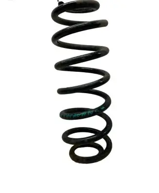 Volkswagen PASSAT B6 Rear coil spring