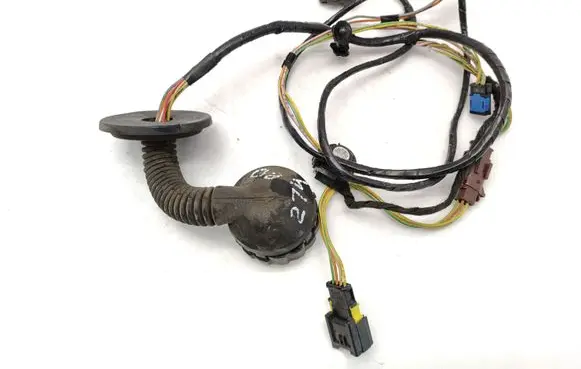 Front door wiring loom