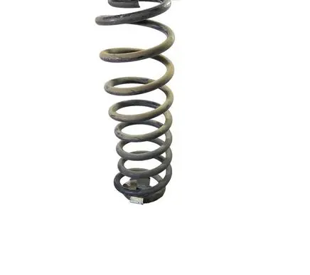 Ford Mustang V Rear coil spring BR335560AB