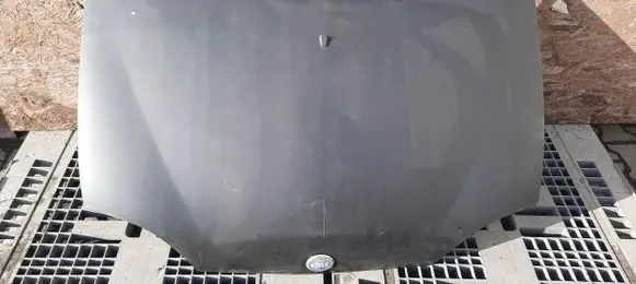 Fiat Seicento/600 Engine bonnet/hood