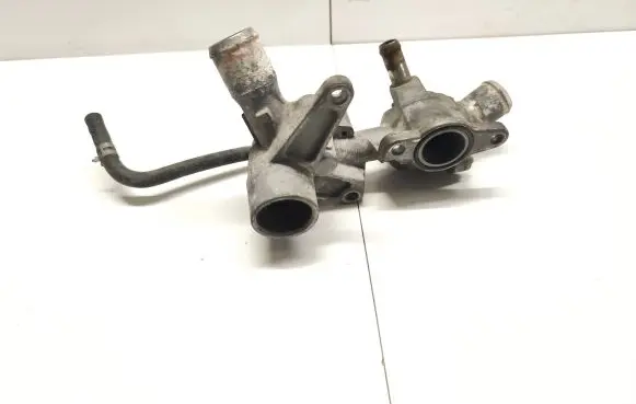 Thermostat/thermostat housing