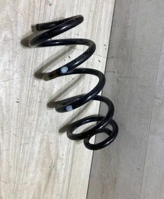 Renault Arkana Rear coil spring 