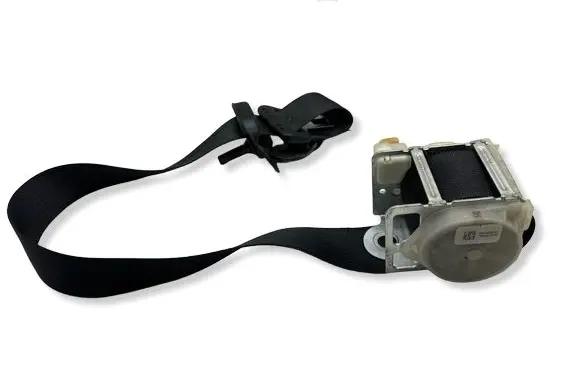 Dodge Charger Rear seatbelt 7326074637 2442576