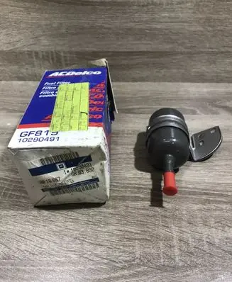Pontiac Aztek Fuel filter 10290491 0818567
