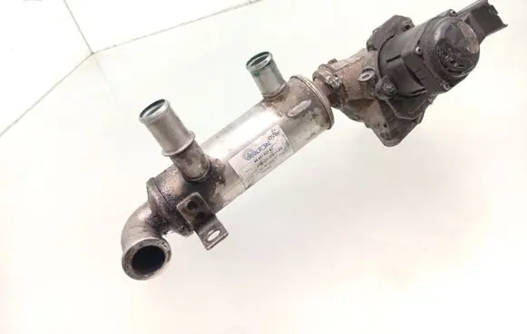 Citroen Xsara Picasso EGR valve 9646762280