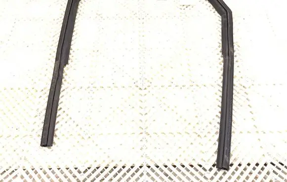 Audi Q4 Sportback e-tron Rubber seal front door (on door) 