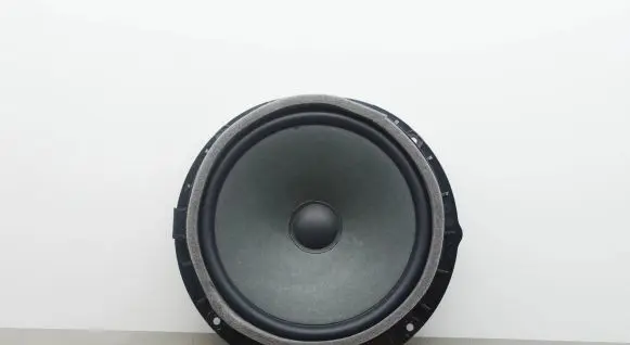 Audi Q5 SQ5 Front door speaker 80A035415