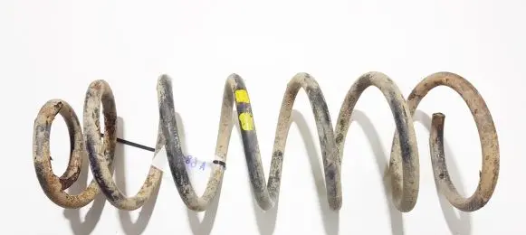 Rear coil spring