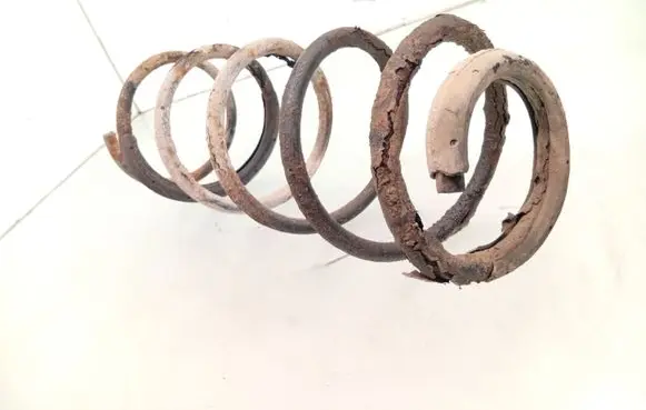 Peugeot 406 Front coil spring