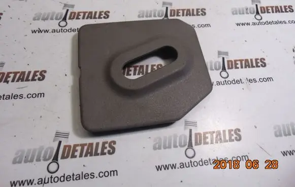 Other front door trim element