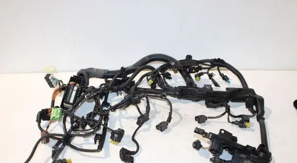 Engine installation wiring loom