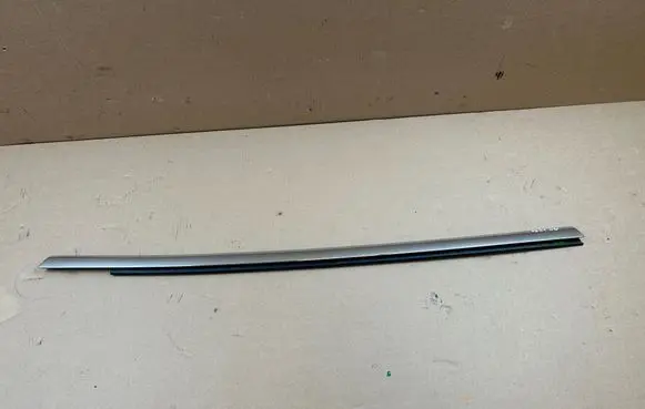 Tesla Model S Rear door trim (molding)