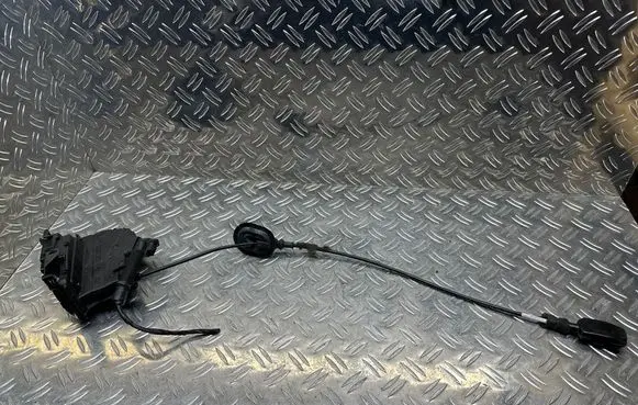 Renault Zoe Rear door lock 825029017R 40727235