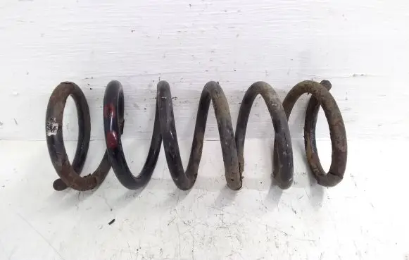 Rear coil spring