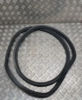 BMW X7 G07 Rear door rubber seal (on body) 7431142