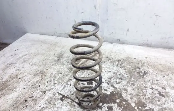 Skoda Octavia Mk2 (1Z) Rear coil spring