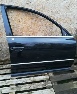 Volkswagen PASSAT B5.5 Front door