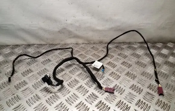 Mini One - Cooper Coupe R56 Front door wiring loom 9231843
