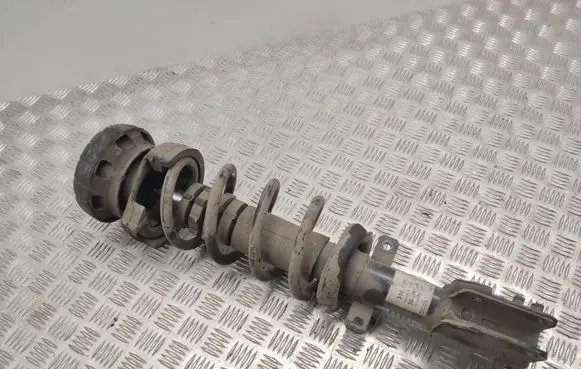Opel Vivaro Front shock absorber/damper 824904010620