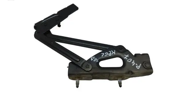 Peugeot 407 Tailgate/trunk/boot hinge