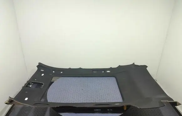 BMW X3 E83 Headlining 