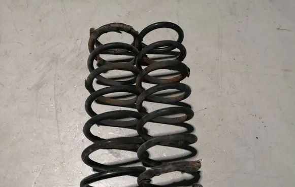 Ford Focus C-MAX Rear coil spring