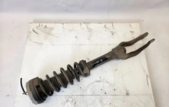 Jaguar F-Pace Front shock absorber with coil spring MK8318B037SC MK83-45-AA