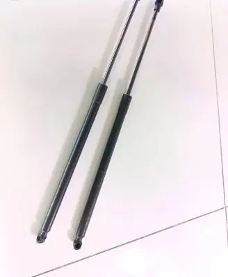 Tailgate strut