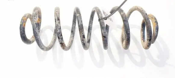 Rear coil spring