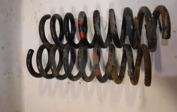 Rear coil spring