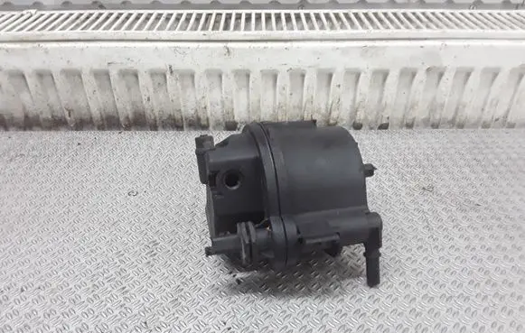Peugeot 206 Fuel filter 9641789680