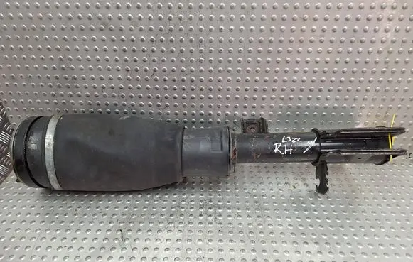 Land Rover Range Rover L322 Front air suspension shock absorber S25165542