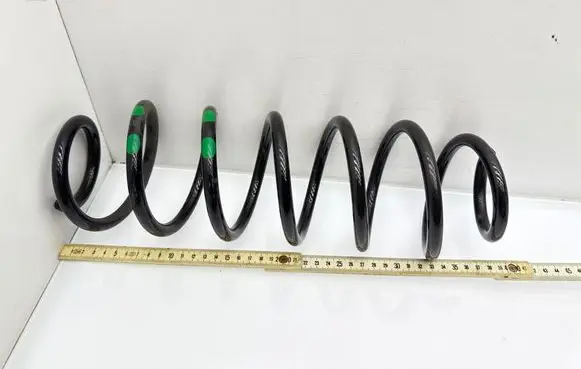 Rear coil spring