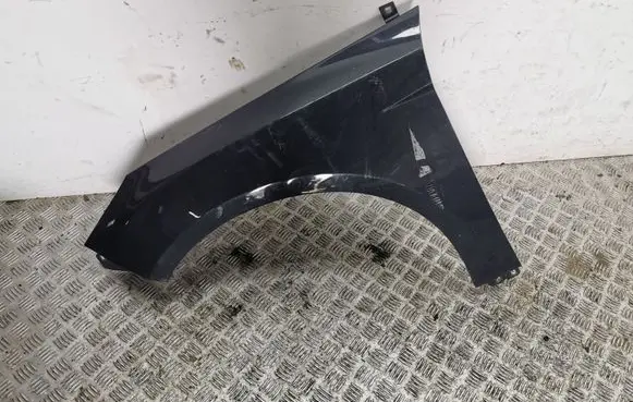 Ford Focus Fender