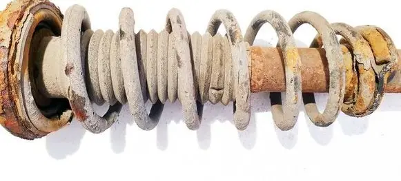 Rear coil spring